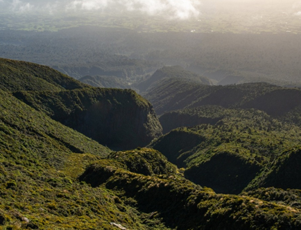 国产精品自产拍在线观看免费