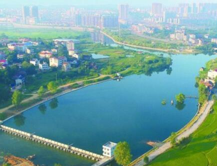 国产精品自产拍在线观看免费